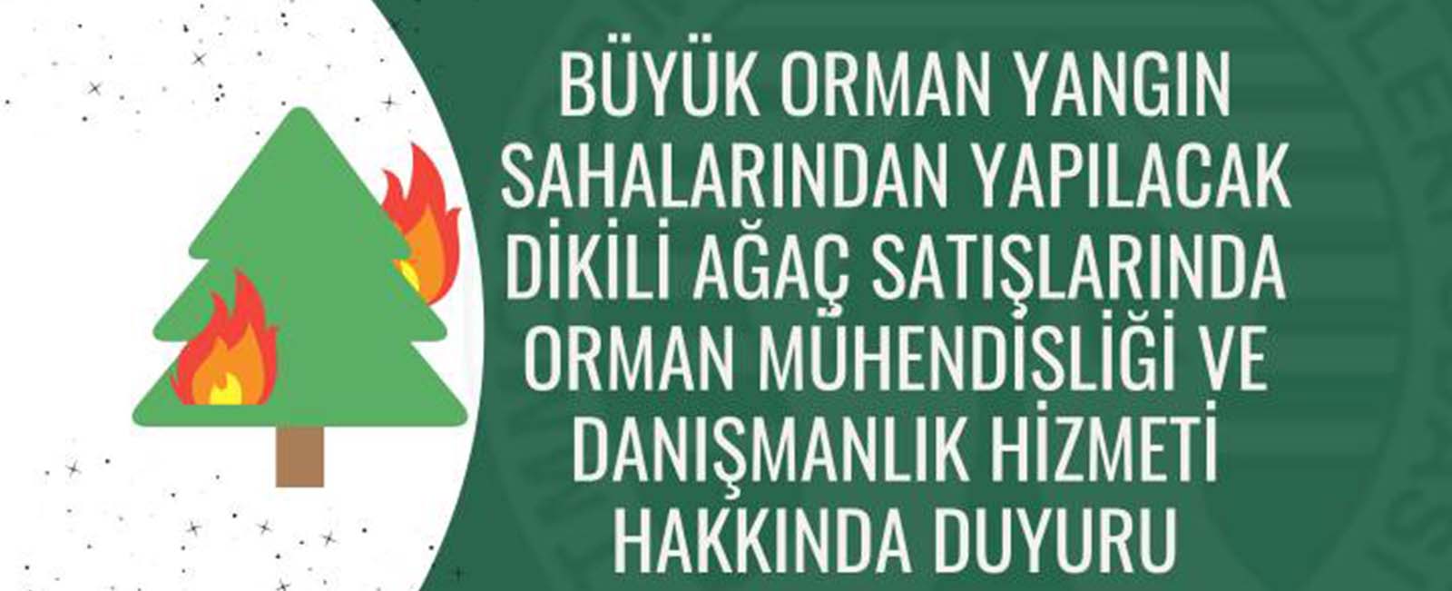 BÜYÜK ORMAN YANGIN SAHALARINDAN YAPILACAK DİKİLİ AĞAÇ SATIŞLARINDA ORMAN MÜHENDİSLİĞİ VE DANIŞMANLIK HİZMETİ