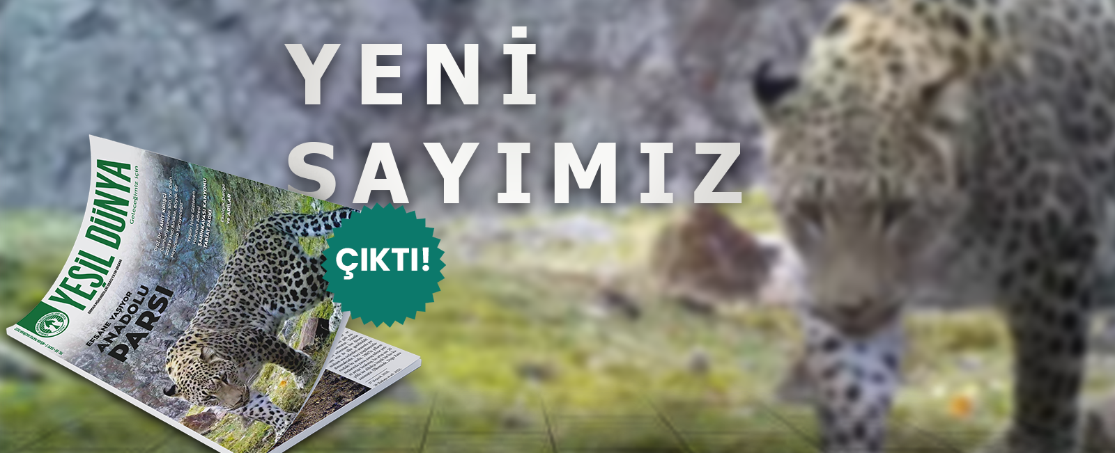 Yeni Sayımız Çıktı