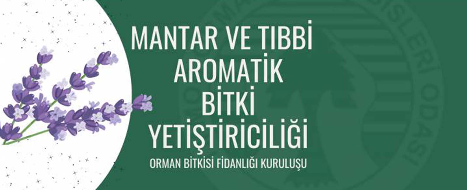 MANTAR VE TIBBİ-AROMATİK BİTKİ YETİŞTİRİCİLİĞİ - DUYURU