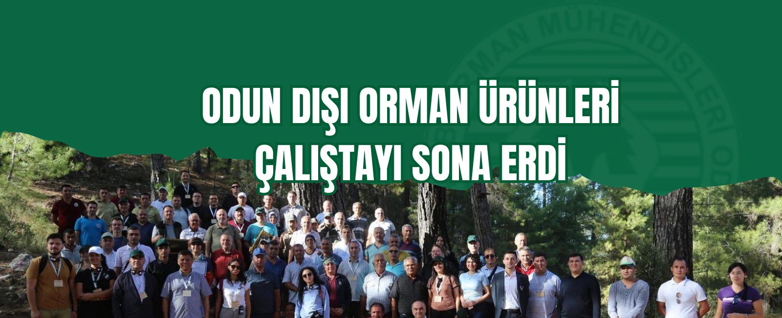 Odun Dışı Orman Ürünleri Çalıştayı Sona Erdi